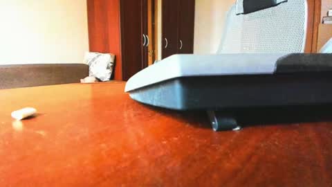 Snapshot of banana_skinny_boy chatting on February 2025 09:43:01 AM BananaBoy online show from February 2025 09:43:01 AM