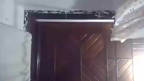 Snapshot of barbi_boobs chatting on November 2025 05:39:01 AM barbi_boobs online show from November 2025 05:39:01 AM