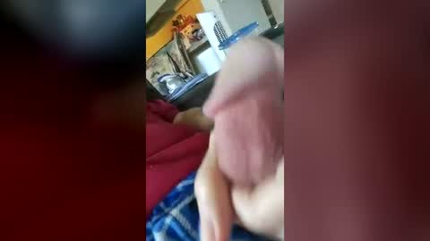 barbitall online show from July 2026 02:56:02 PM