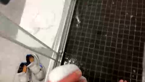 Snapshot of barkley314 chatting on September 2025 03:14:01 PM barkley314 online show from September 2025 03:14:01 PM