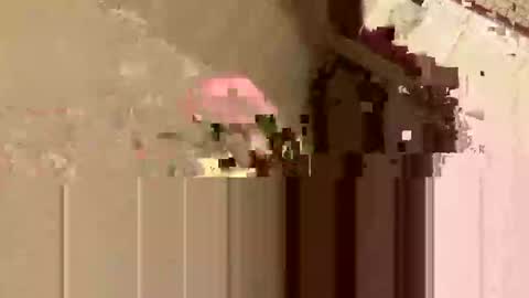 Snapshot of barkley314 chatting on November 2025 02:18:01 PM barkley314 online show from November 2025 02:18:01 PM