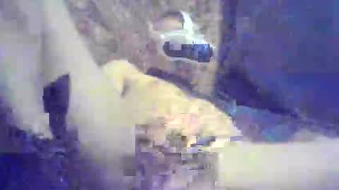 bartbartek online show from May 2026 05:34:02 PM