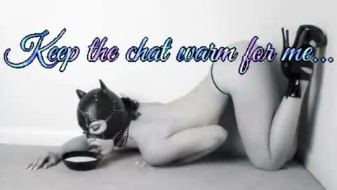 Your always sexy Harley online show from July 2026 04:58:02 AM