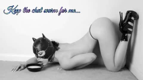 Your always sexy Harley online show from July 2026 08:19:01 AM