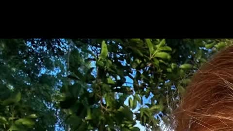 Battyredhair online show from April 2026 06:25:02 AM