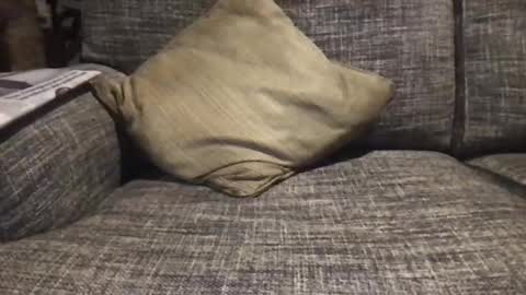 Snapshot of baykiwi54 chatting on December 2024 08:45:02 AM baykiwi54 online show from December 2024 08:45:02 AM