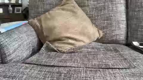 Snapshot of baykiwi54 chatting on February 2026 10:26:01 PM baykiwi54 online show from February 2026 10:26:01 PM