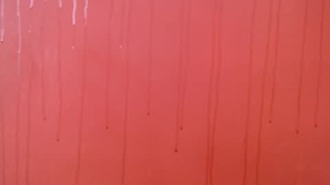 bayonette_black online show from November 2025 07:02:02 PM