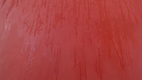 bayonette_black online show from November 2025 07:07:02 PM