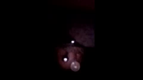 bcfalcon69 online show from May 2026 05:48:01 AM