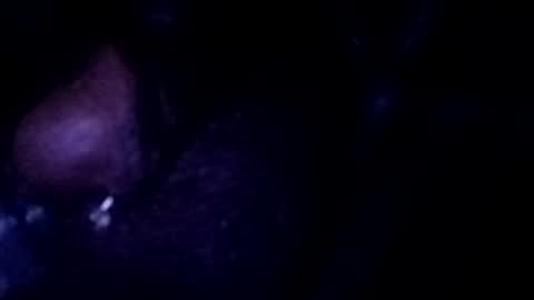bcfalcon69 online show from July 2026 03:04:01 AM