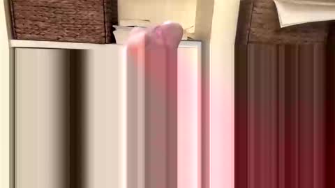 BeachGuy online show from November 2025 04:44:01 PM