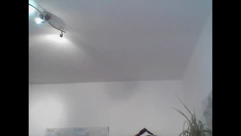 bear14250949 online show from November 2025 11:45:01 AM