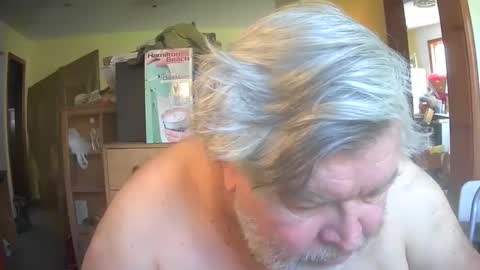 bear online show from April 2026 02:37:01 PM