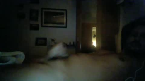 bearboudior online show from February 2025 01:58:02 AM