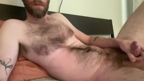 Snapshot of beardedchester chatting on December 2024 09:16:01 PM beardedchester online show from December 2024 09:16:01 PM