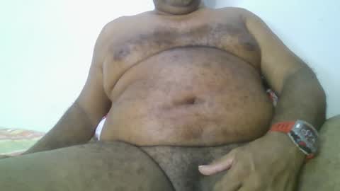 Snapshot of beargryzzly chatting on January 2025 08:25:01 AM Grizzly online show from January 2025 08:25:01 AM