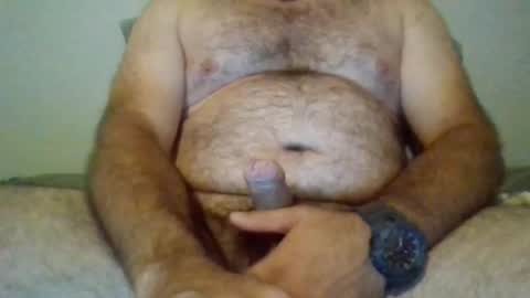 bearyuncut online show from July 2026 02:32:01 AM