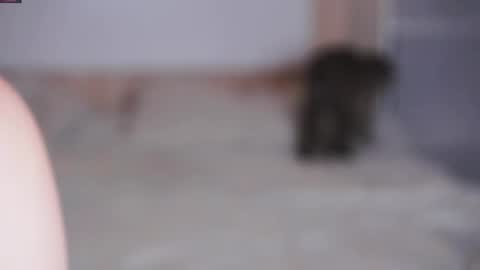 Beatrice online show from November 2025 07:25:01 PM