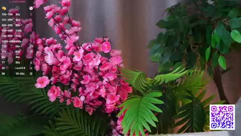 Polly  online show from May 2026 09:47:01 AM