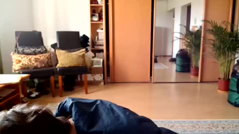 Raluca online show from May 2026 03:08:02 PM