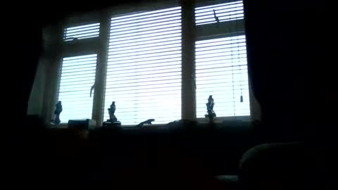 becky273622 online show from November 2025 11:53:02 AM