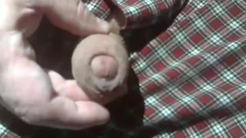  Reservoir Dogs online show from December 2024 12:15:02 AM