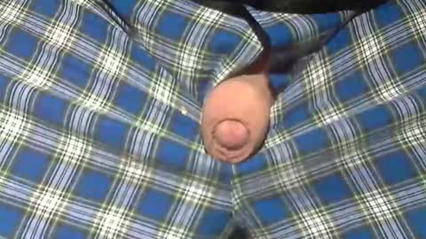  Reservoir Dogs online show from February 2026 11:28:02 AM