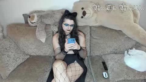 Bee online show from December 2025 09:51:02 AM