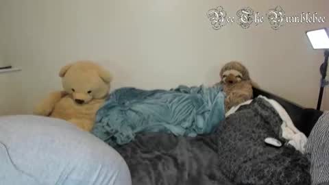 Bee online show from February 2026 10:35:01 AM