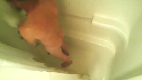 begme88 online show from April 2026 04:24:02 AM