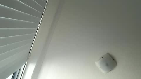 Snapshot of behindcloseddoorsau chatting on May 2026 02:40:01 AM behindcloseddoorsau online show from May 2026 02:40:01 AM