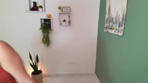 Bel 3 online show from December 2024 02:33:02 PM