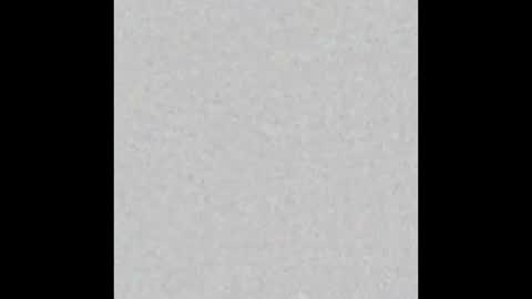 Zia online show from January 2025 12:09:01 AM