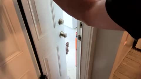 Snapshot of bellabeanz chatting on February 2025 02:12:01 PM Roxy Rain online show from February 2025 02:12:01 PM