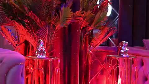 Bella online show from February 2026 06:23:02 PM