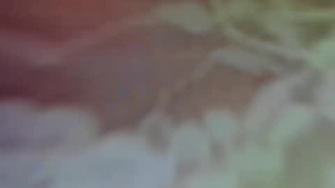 Snapshot of bellaporchxxx chatting on February 2025 02:59:01 AM Bella Porch online show from February 2025 02:59:01 AM