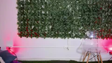 Snapshot of bellaroux1 chatting on February 2026 12:35:01 PM BellaRoux online show from February 2026 12:35:01 PM