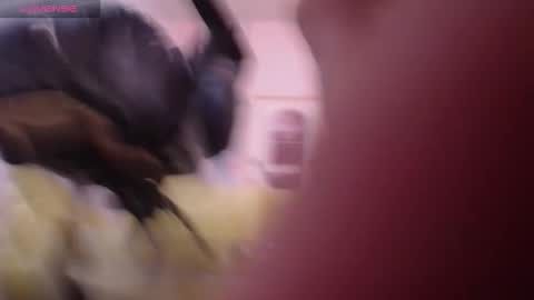 Snapshot of bellatrix_ch chatting on March 2026 01:00:01 PM Bella online show from March 2026 01:00:01 PM