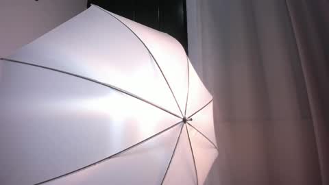 Snapshot of bellawild_ chatting on February 2026 12:00:01 PM Bella Wild online show from February 2026 12:00:01 PM