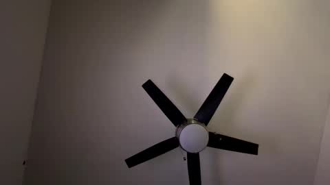 Belle xx online show from March 2026 07:32:01 PM