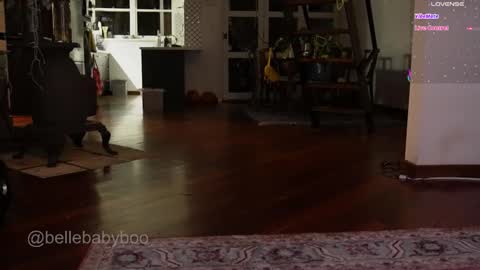 BELLE   online show from February 2026 01:09:01 PM