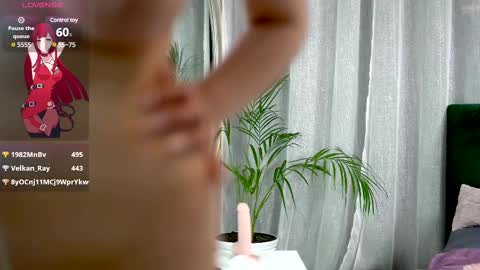 Belle online show from February 2025 11:29:02 AM