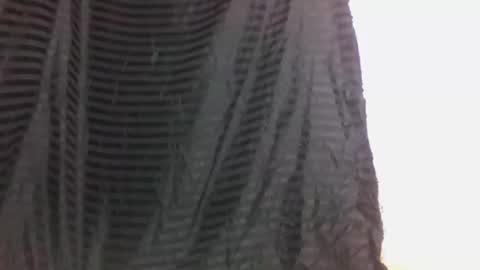bemelissa online show from October 2025 08:56:02 AM