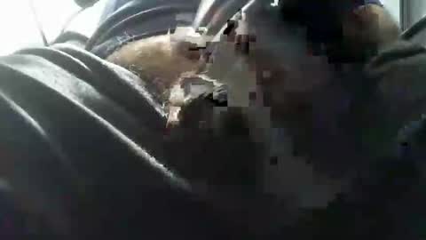 Snapshot of beninoam75 chatting on October 2025 07:03:02 PM beninoam75 online show from October 2025 07:03:02 PM