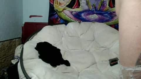 Snapshot of bentbunny21 chatting on July 2026 03:00:02 AM Bent Bunny online show from July 2026 03:00:02 AM