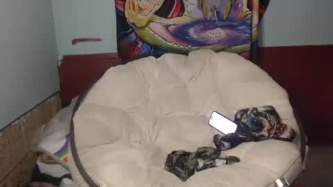 Snapshot of bentbunny21 chatting on July 2026 02:53:01 PM Bent Bunny online show from July 2026 02:53:01 PM