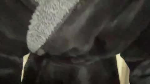 READ MY BIO ---  --- READ MY BIO online show from March 2025 03:28:02 PM