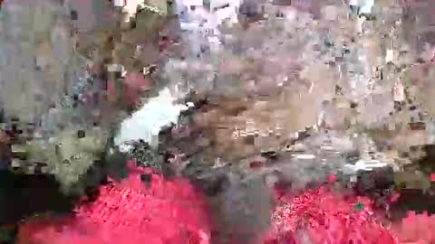 ToxicPipe757 online show from May 2026 05:19:02 PM