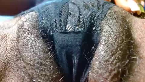 Snapshot of bethanywilsom chatting on January 2025 03:34:02 PM Bethany Wilson online show from January 2025 03:34:02 PM